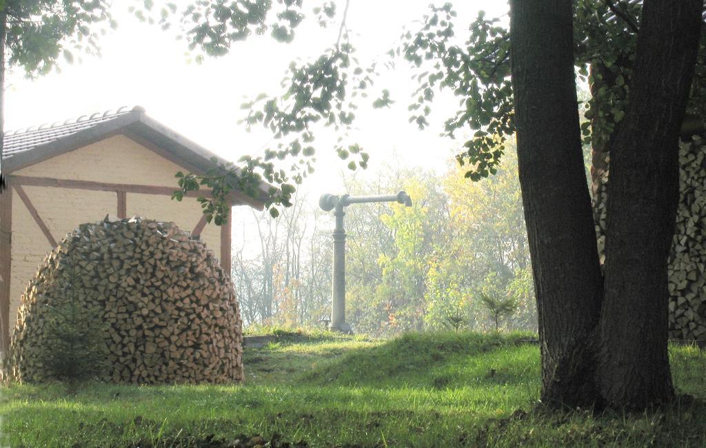 卡斯齐公寓 Białowieża 外观 照片